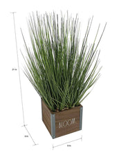 Load image into Gallery viewer, Rae Dunn “Bloom” Artificial Grass Plants with Wooden Planter (local pick up only)
