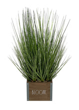 Load image into Gallery viewer, Rae Dunn “Bloom” Artificial Grass Plants with Wooden Planter (local pick up only)