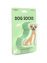 Load image into Gallery viewer, Dog 3D Socks
