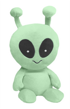 Load image into Gallery viewer, Alex Alien Glow-in-the-Dark Warm Pal
