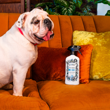 Load image into Gallery viewer, Pet~Pourri Pawsitively Fresh Air + Fabric Odor Eliminator 16
